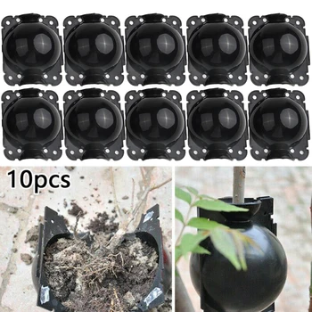 10PCS השתלת קופסת פלסטיק עמ 5x5cm שחור צמח השתלת וצמיחה שורש מכשיר בקרה מכשיר לחץ מגש צמח השתרשות
